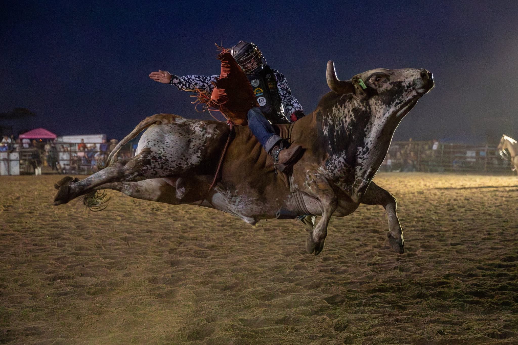 Past Rodeo Highlights – Salter Rodeo Company